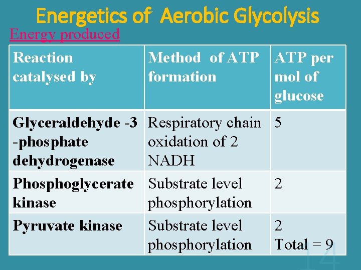 Energetics of Aerobic Glycolysis Energy produced Reaction catalysed by Glyceraldehyde -3 -phosphate dehydrogenase Phosphoglycerate