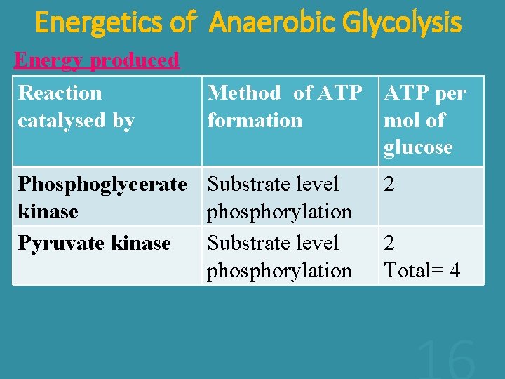 Energetics of Anaerobic Glycolysis Energy produced Reaction Method of ATP per catalysed by formation