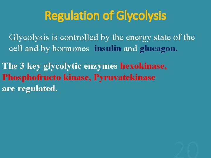Regulation of Glycolysis is controlled by the energy state of the cell and by