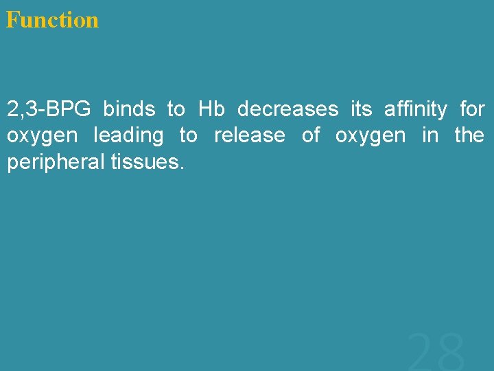 Function 2, 3 -BPG binds to Hb decreases its affinity for oxygen leading to