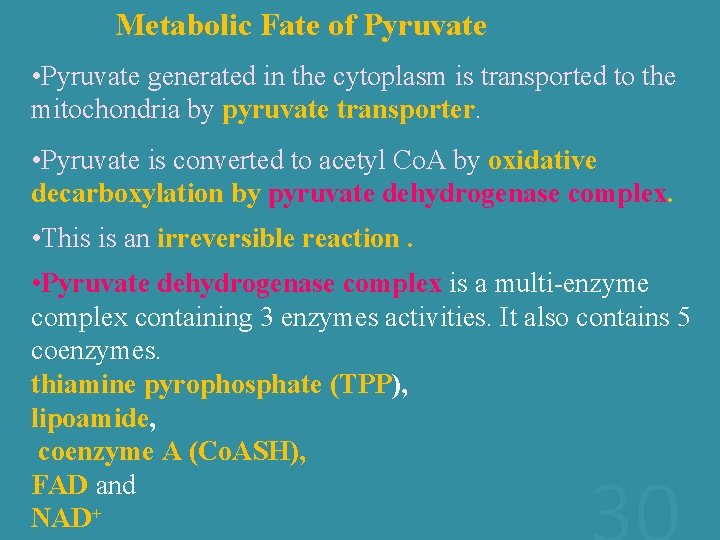 Metabolic Fate of Pyruvate • Pyruvate generated in the cytoplasm is transported to the