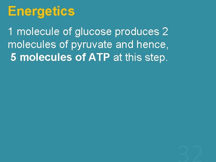 Energetics 1 molecule of glucose produces 2 molecules of pyruvate and hence, 5 molecules