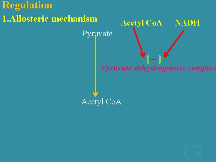 Regulation 1. Allosteric mechanism Acetyl Co. A NADH Pyruvate dehydrogenase complex Acetyl Co. A