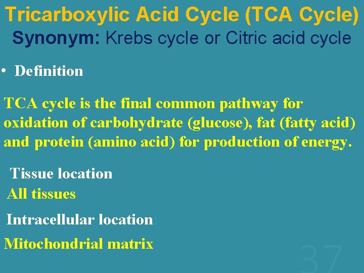 Tricarboxylic Acid Cycle (TCA Cycle) Synonym: Krebs cycle or Citric acid cycle • Definition