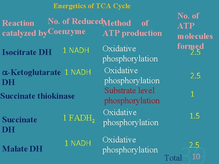  Energetics of TCA Cycle Reaction No. of Reduced Method of catalyzed by Coenzyme