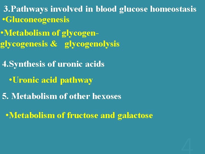 3. Pathways involved in blood glucose homeostasis • Gluconeogenesis • Metabolism of glycogen- glycogenesis