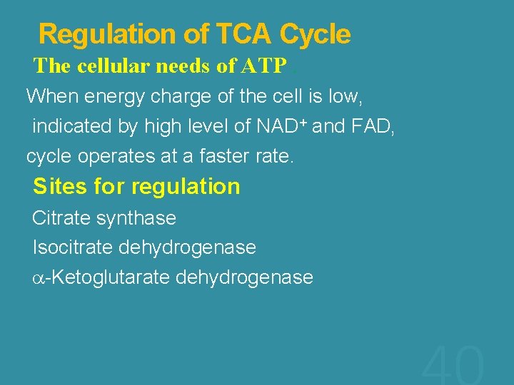  Regulation of TCA Cycle The cellular needs of ATP. When energy charge of