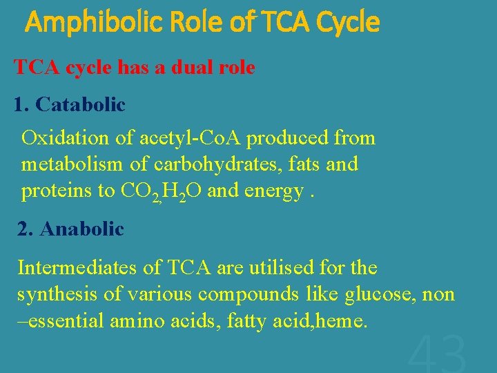 Amphibolic Role of TCA Cycle TCA cycle has a dual role 1. Catabolic Oxidation