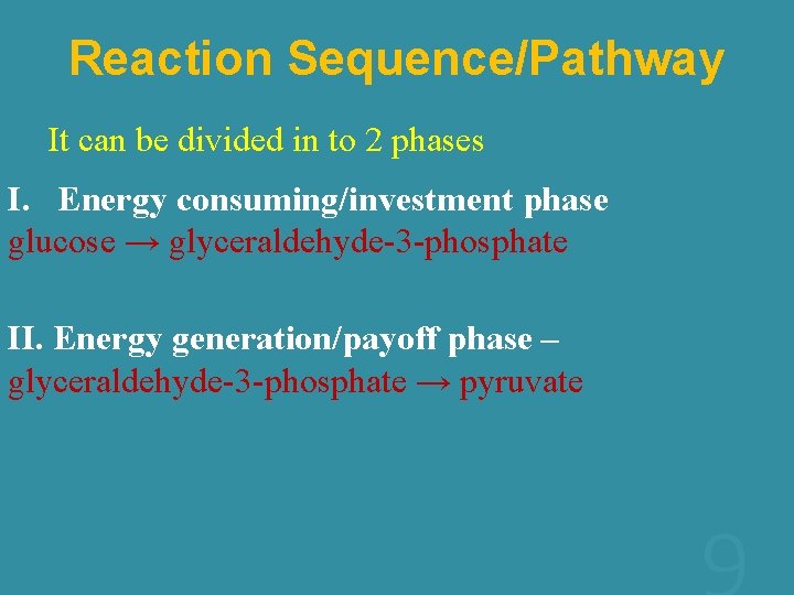 Reaction Sequence/Pathway It can be divided in to 2 phases I. Energy consuming/investment phase