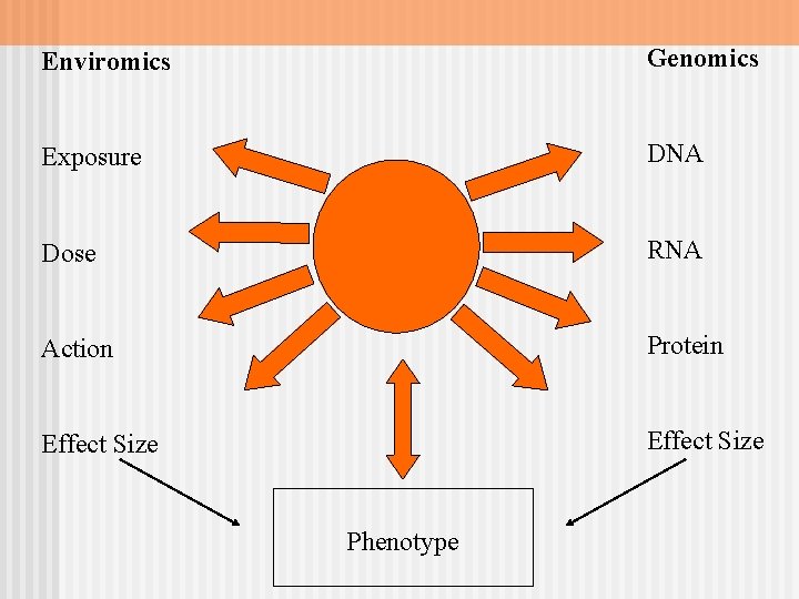 Enviromics Genomics Exposure DNA Dose RNA Action Protein Effect Size Phenotype 