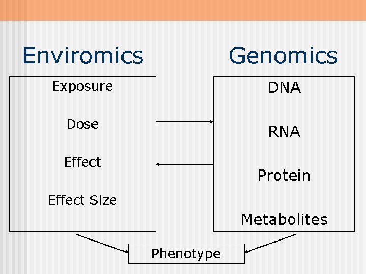 Enviromics Genomics Exposure DNA Dose RNA Effect Protein Effect Size Metabolites Phenotype 