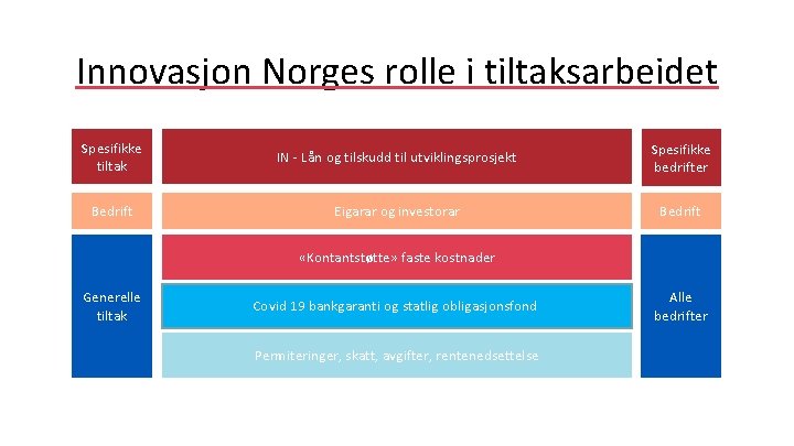 Innovasjon Norges rolle i tiltaksarbeidet Spesifikke tiltak IN - Lån og tilskudd til utviklingsprosjekt