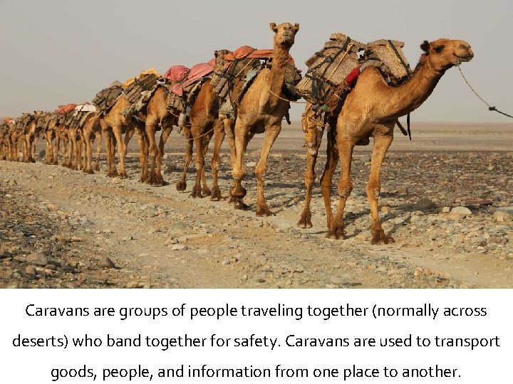 Caravans are groups of people traveling together (normally across deserts) who band together for
