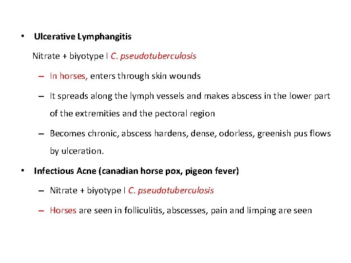  • Ulcerative Lymphangitis Nitrate + biyotype I C. pseudotuberculosis – In horses, enters