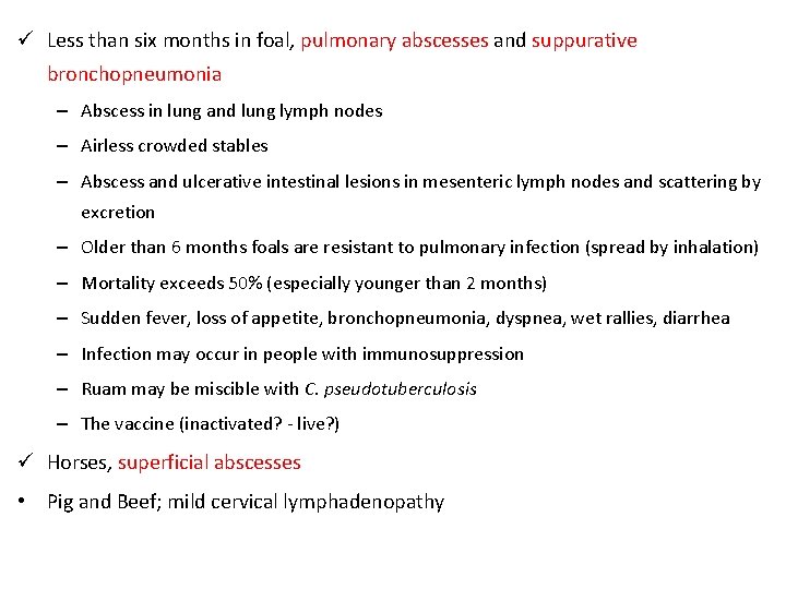 ü Less than six months in foal, pulmonary abscesses and suppurative bronchopneumonia – Abscess