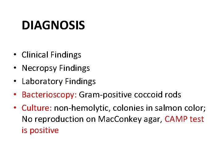 DIAGNOSIS • • • Clinical Findings Necropsy Findings Laboratory Findings Bacterioscopy: Gram-positive coccoid rods