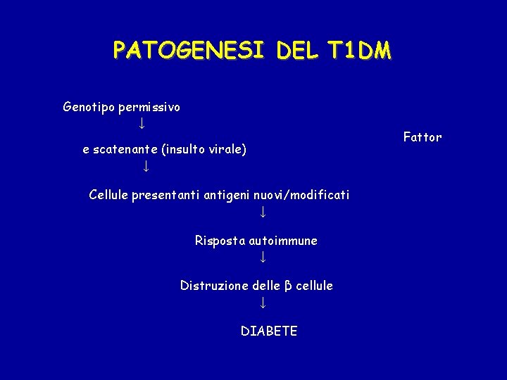 PATOGENESI DEL T 1 DM Genotipo permissivo ↓ e scatenante (insulto virale) ↓ Cellule