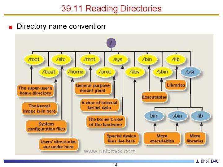 39. 11 Reading Directories Directory name convention 14 J. Choi, DKU 