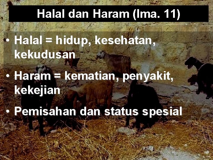 Halal dan Haram (Ima. 11) • Halal = hidup, kesehatan, kekudusan • Haram =
