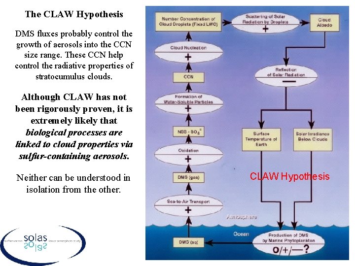 The CLAW Hypothesis DMS fluxes probably control the growth of aerosols into the CCN