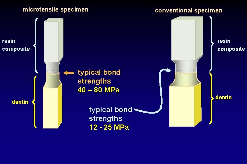microtensile specimen conventional specimen resin composite typical bond strengths 40 – 80 MPa dentin
