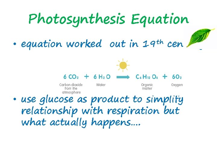 Photosynthesis Equation • equation worked out in 19 th century • use glucose as