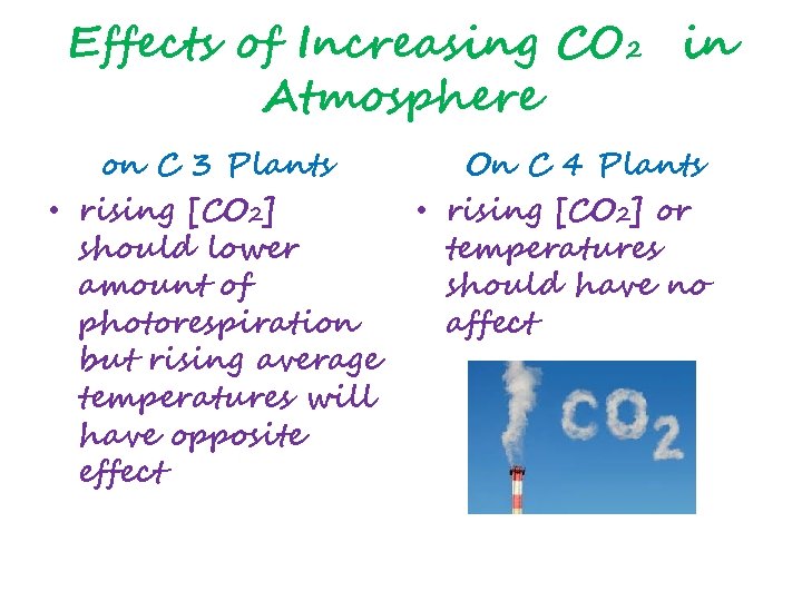Effects of Increasing CO 2 in Atmosphere on C 3 Plants • rising [CO