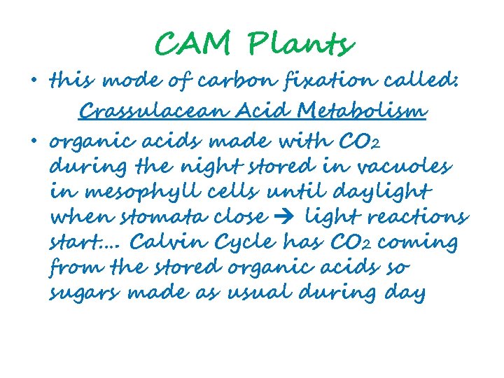 CAM Plants • this mode of carbon fixation called: Crassulacean Acid Metabolism • organic