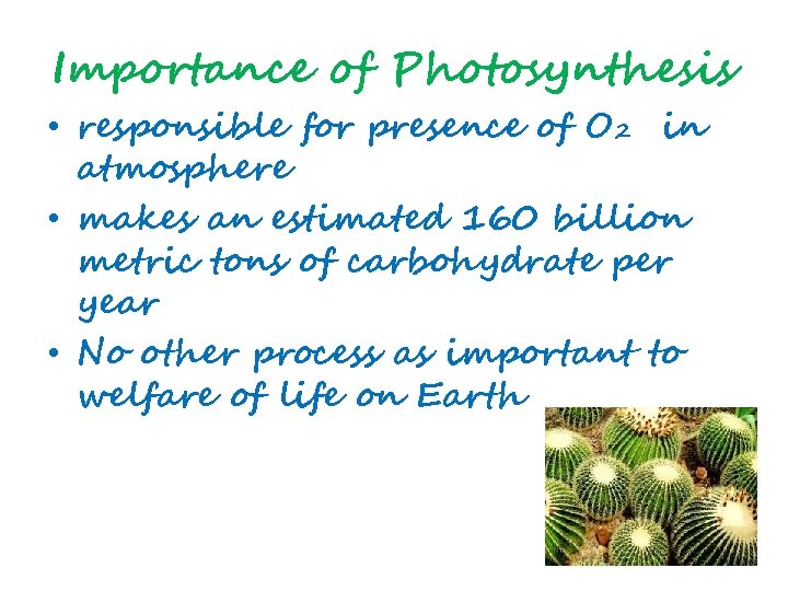 Importance of Photosynthesis • responsible for presence of O 2 in atmosphere • makes
