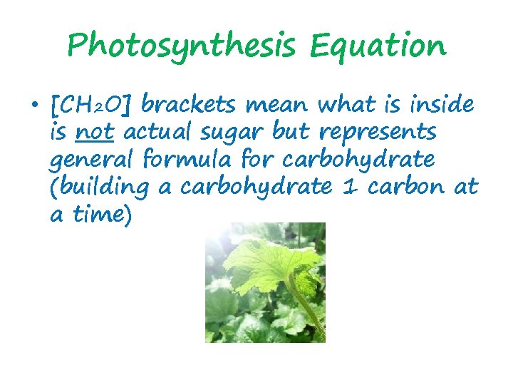 Photosynthesis Equation • [CH 2 O] brackets mean what is inside is not actual