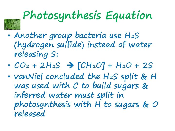 Photosynthesis Equation • Another group bacteria use H 2 S (hydrogen sulfide) instead of