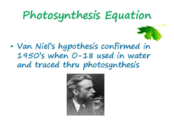 Photosynthesis Equation • Van Niel’s hypothesis confirmed in 1950’s when O-18 used in water
