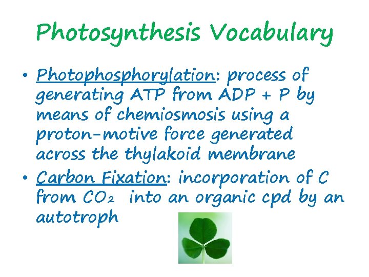 Photosynthesis Vocabulary • Photophosphorylation: process of generating ATP from ADP + P by means