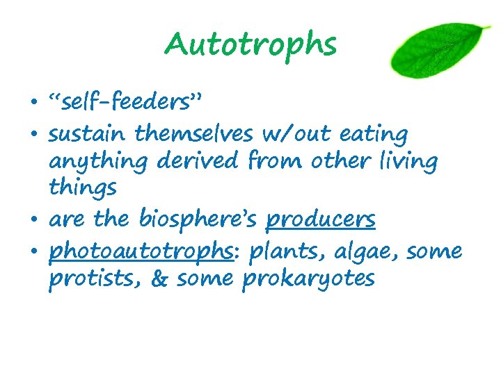 Autotrophs • “self-feeders” • sustain themselves w/out eating anything derived from other living things