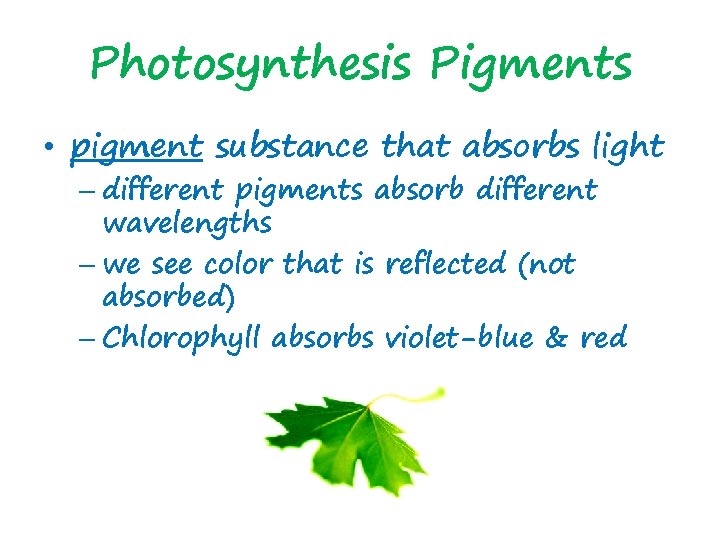 Photosynthesis Pigments • pigment substance that absorbs light – different pigments absorb different wavelengths