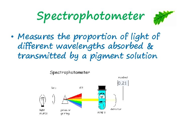 Spectrophotometer • Measures the proportion of light of different wavelengths absorbed & transmitted by