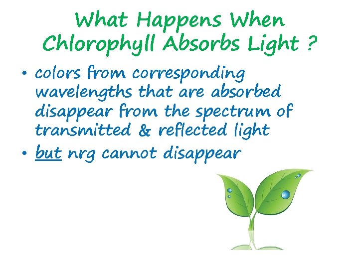 What Happens When Chlorophyll Absorbs Light ? • colors from corresponding wavelengths that are