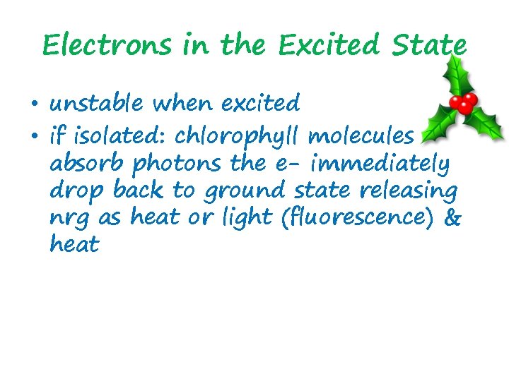 Electrons in the Excited State • unstable when excited • if isolated: chlorophyll molecules