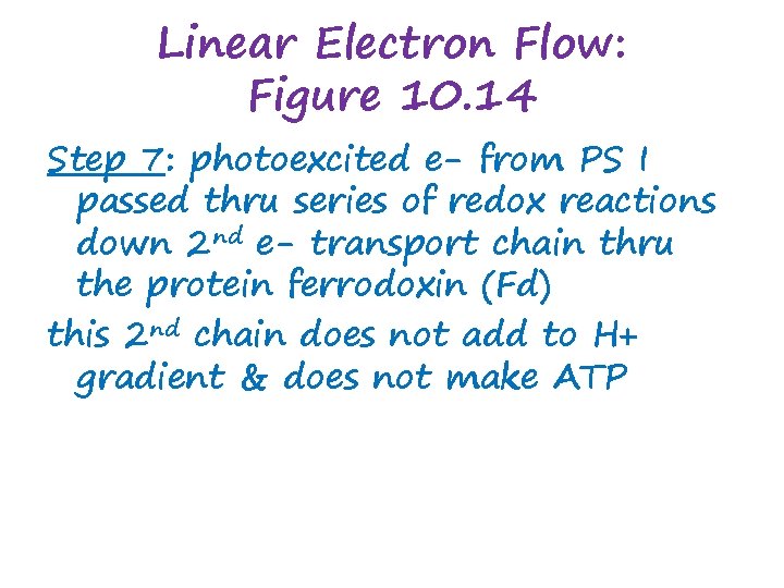 Linear Electron Flow: Figure 10. 14 Step 7: photoexcited e- from PS I passed