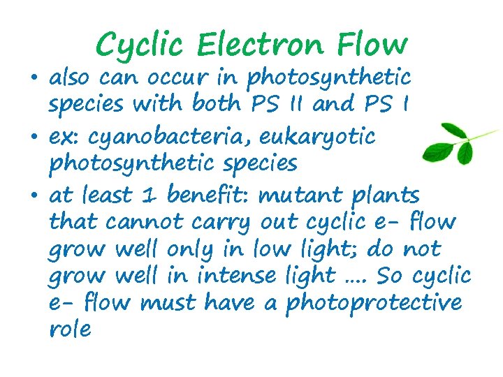 Cyclic Electron Flow • also can occur in photosynthetic species with both PS II