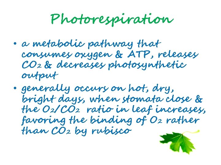 Photorespiration • a metabolic pathway that consumes oxygen & ATP, releases CO 2 &