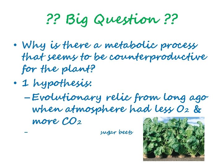 ? ? Big Question ? ? • Why is there a metabolic process that