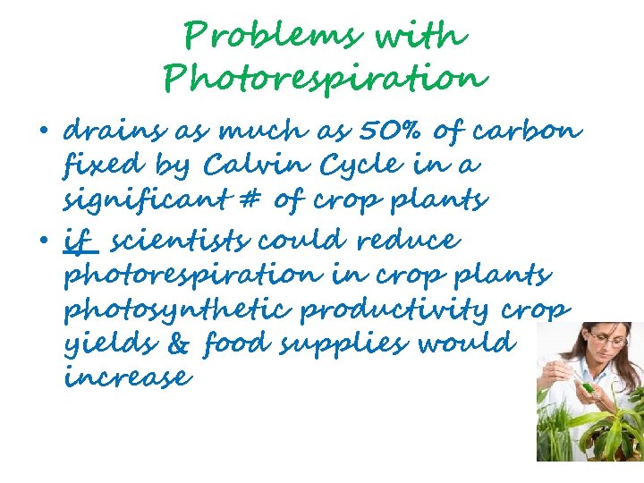Problems with Photorespiration • drains as much as 50% of carbon fixed by Calvin