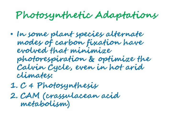 Photosynthetic Adaptations • In some plant species alternate modes of carbon fixation have evolved