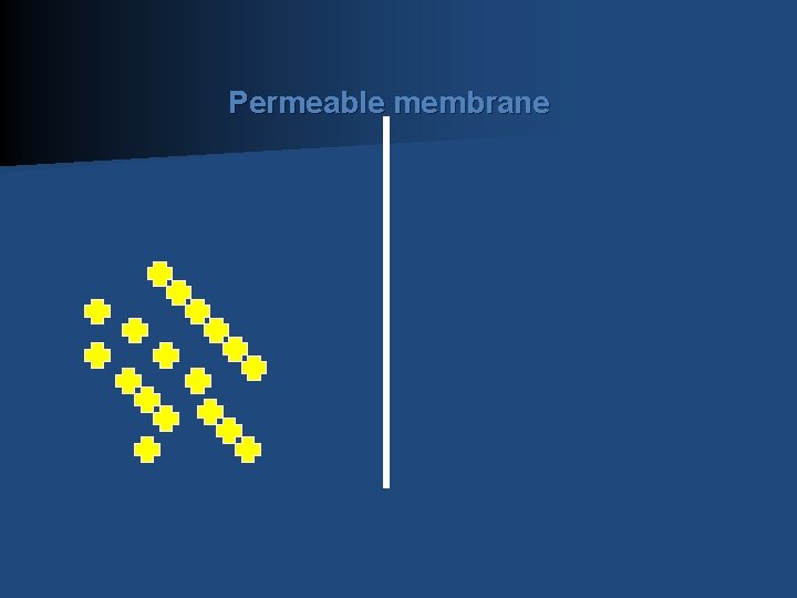 Permeable membrane 