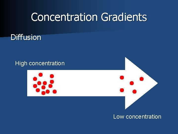 Concentration Gradients Diffusion High concentration Low concentration 