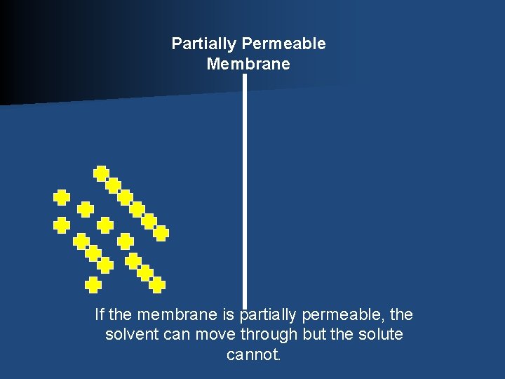 Partially Permeable Membrane If the membrane is partially permeable, the solvent can move through