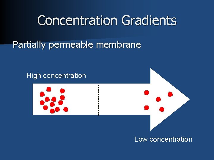 Concentration Gradients Partially permeable membrane High concentration Low concentration 