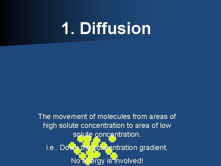 1. Diffusion The movement of molecules from areas of high solute concentration to area