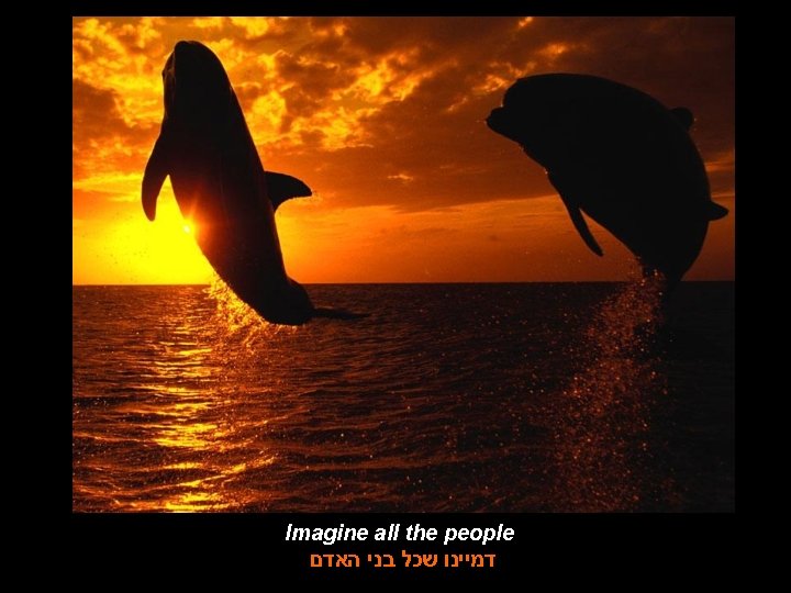 Imagine all the people דמיינו שכל בני האדם 